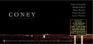 Coney 18-29 Nov Hyde bridge Gallery